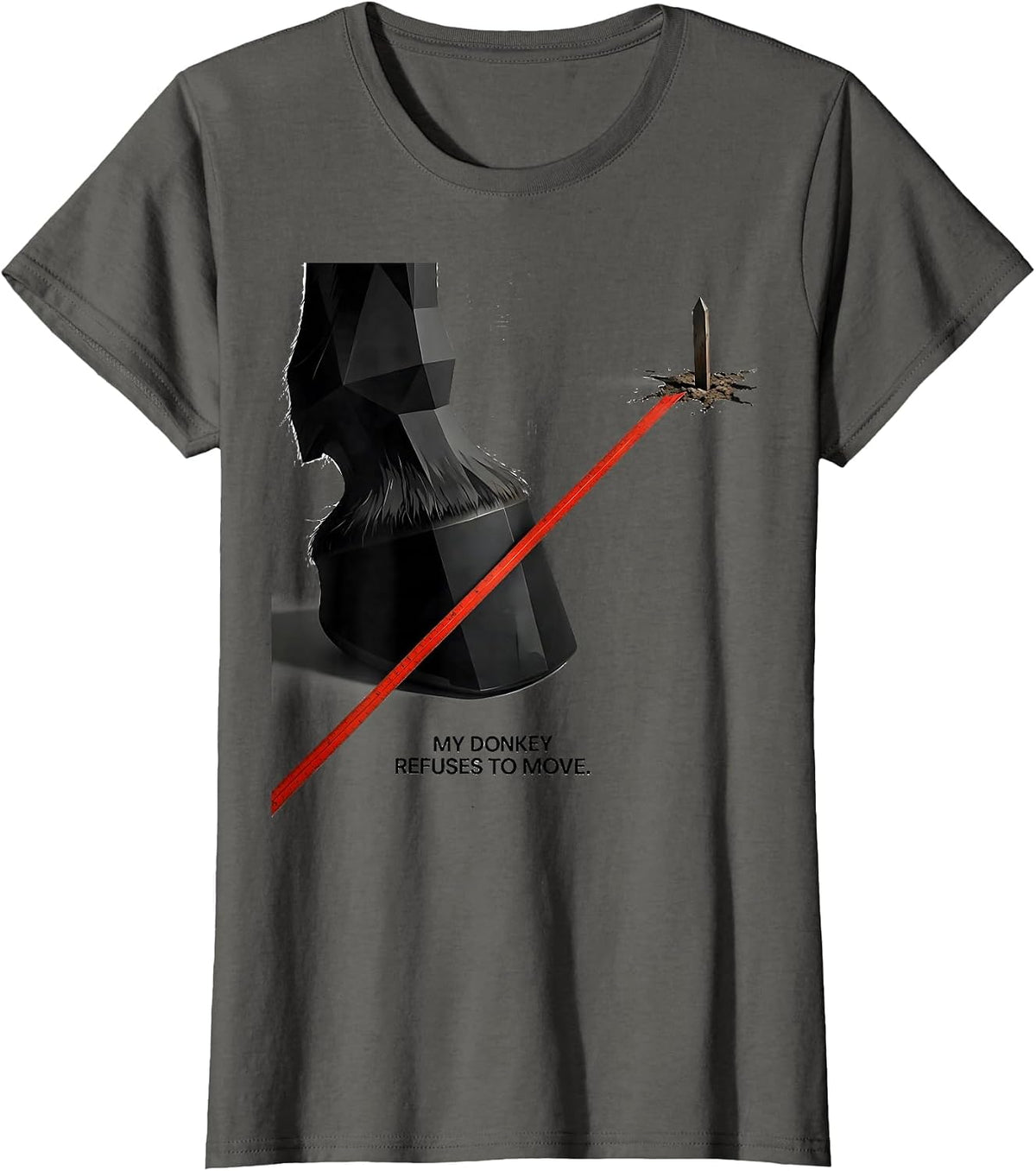 Women's My Donkey Refuses To Move Funny Donkey Lover Animal Humor T-Shirt - Asphalt Grey