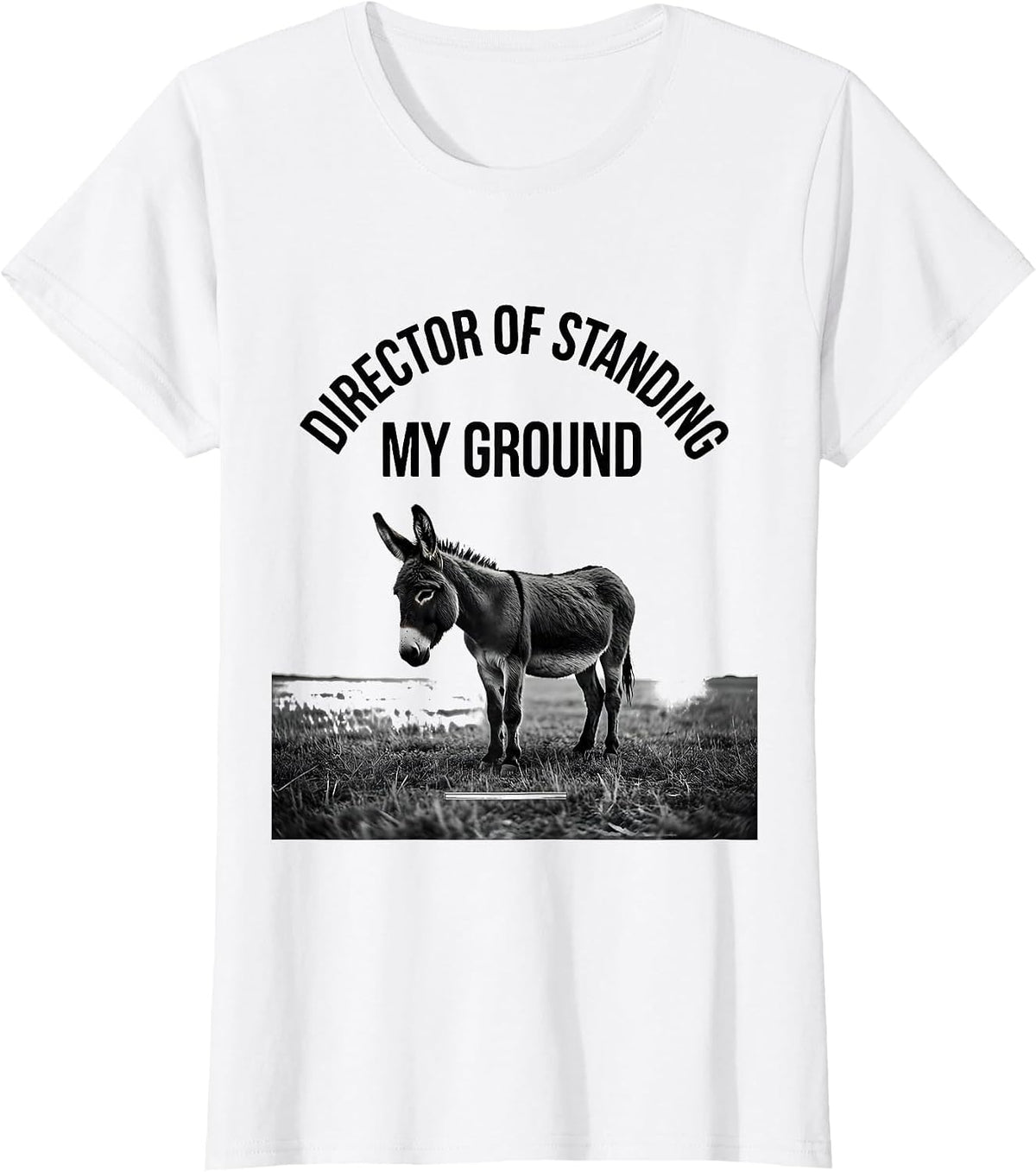 Director Of Standing My Ground Funny Smart Donkey Meme Humor T-Shirt - White