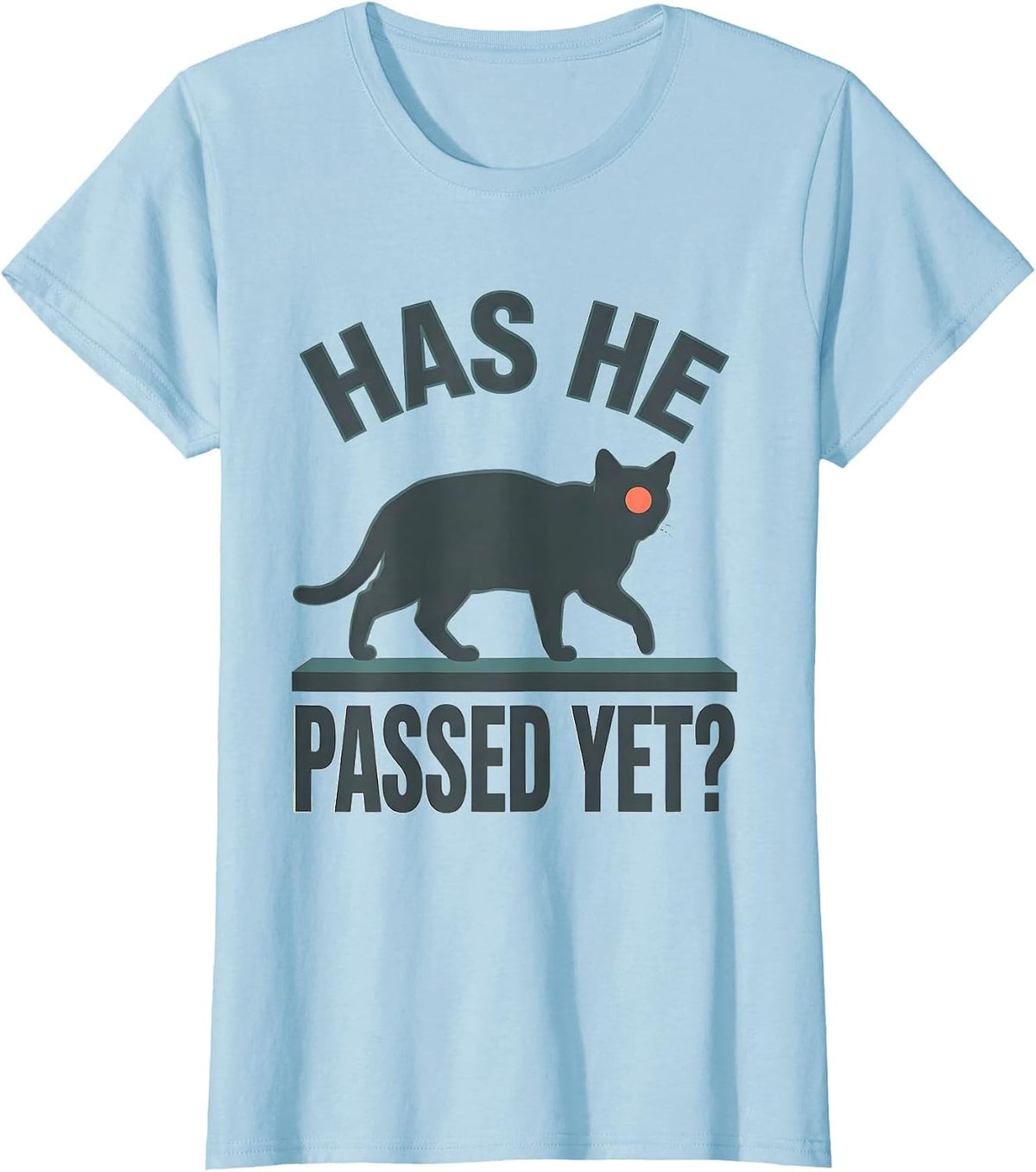 Women's Has He Passed Yet Dark Humor Gothic Cat Raven Gift T-Shirt - Baby Blue