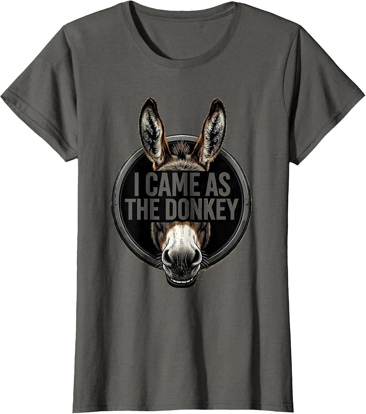 Women's I Came As The Donkey Funny Donkey Lover Halloween Costume T-Shirt - Asphalt Grey
