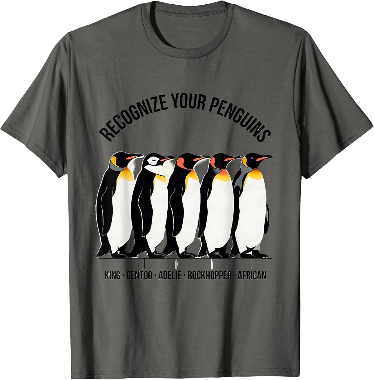 Recognize Your Penguins Penguin Species Identification T-Shirt - Asphalt Grey