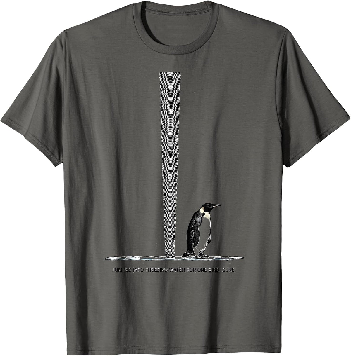 Jumped Into Freezing Water For One Bird. Sure. Penguin Lover T-Shirt - Asphalt Grey