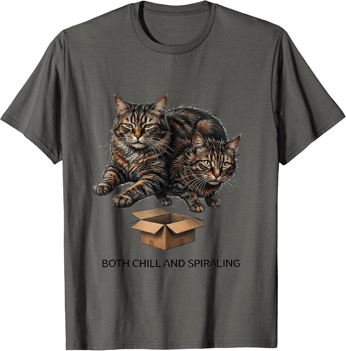 Men's Both Chill And Spiraling Funny Quantum Physics Science T-Shirt - Asphalt Grey
