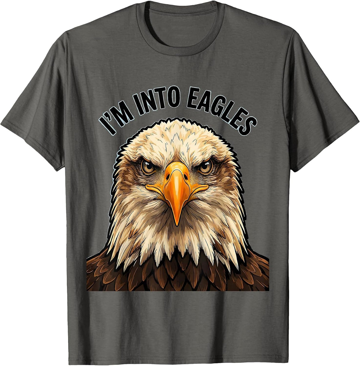I'm Into Eagles Funny Bald Eagle Sunglasses Eagle Lover T-Shirt - Asphalt Grey