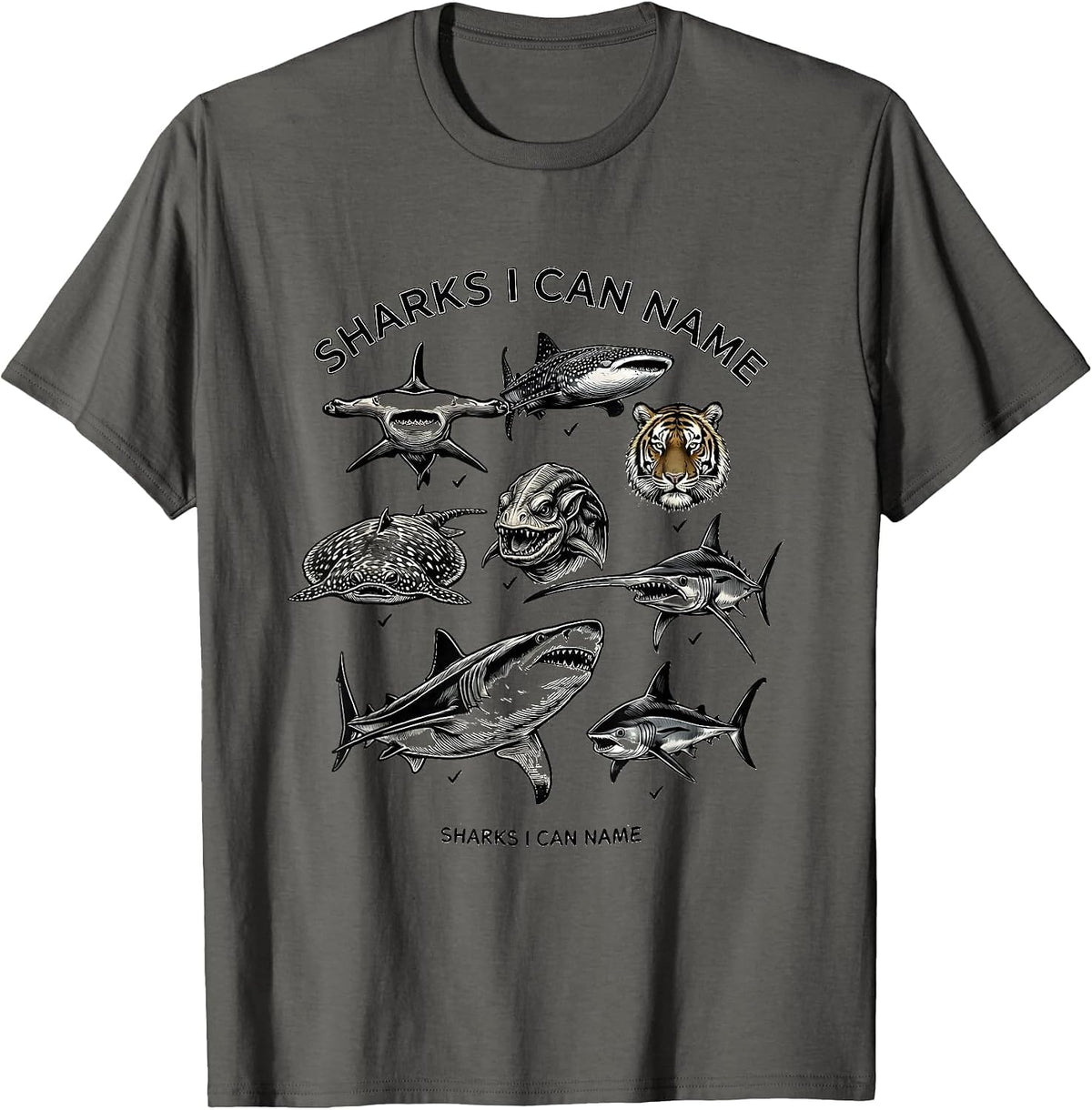 Sharks I Can Name Funny Shark Lover Marine Biology Gift T-Shirt - Asphalt Grey