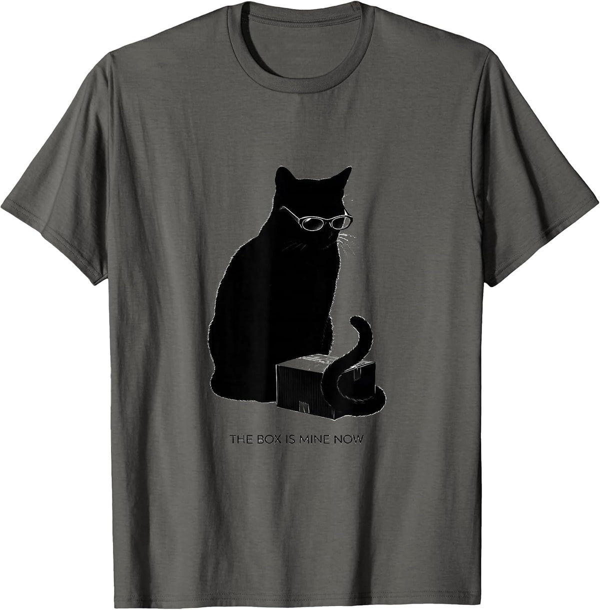 The Box Is Mine Now Funny Schrodingers Cat Quantum Physics T-Shirt - Asphalt Grey