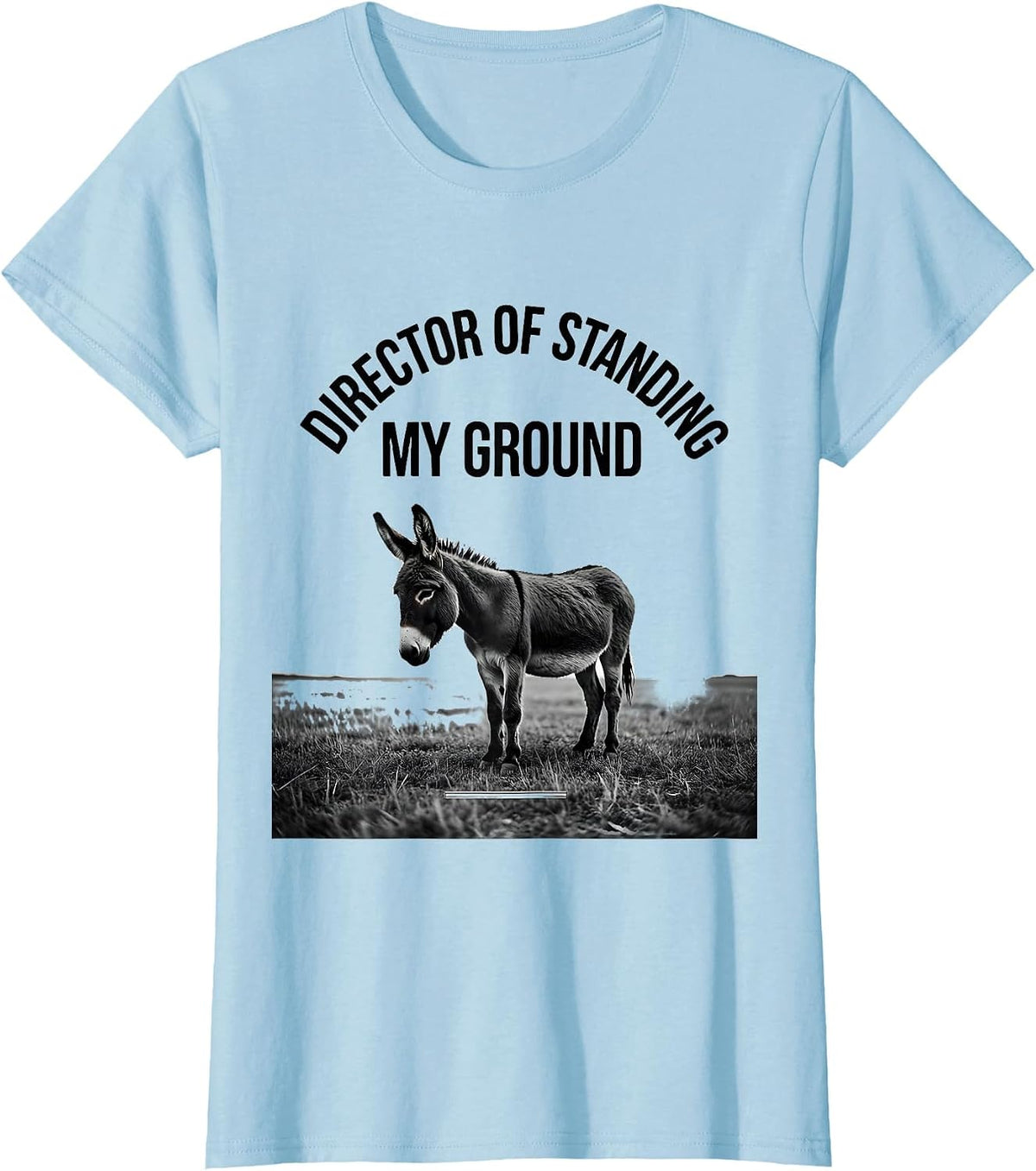 Director Of Standing My Ground Funny Smart Donkey Meme Humor T-Shirt - Baby Blue