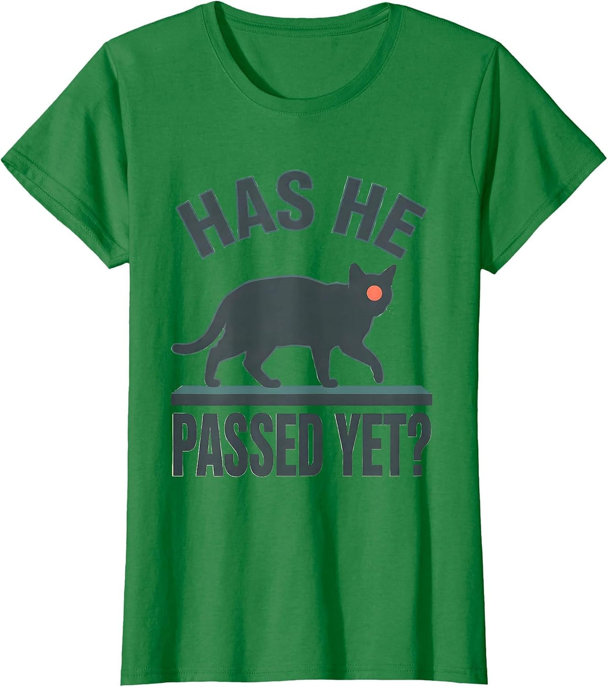 Women's Has He Passed Yet Dark Humor Gothic Cat Raven Gift T-Shirt - Kelly Green