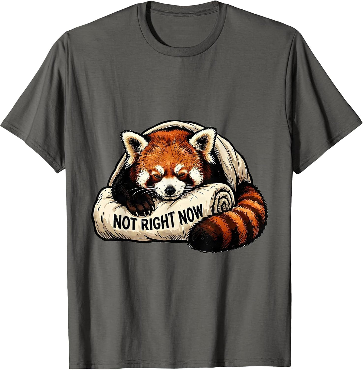 Not Right Now Cute Red Panda Sleepwear Humor Gift T-Shirt - Asphalt Grey
