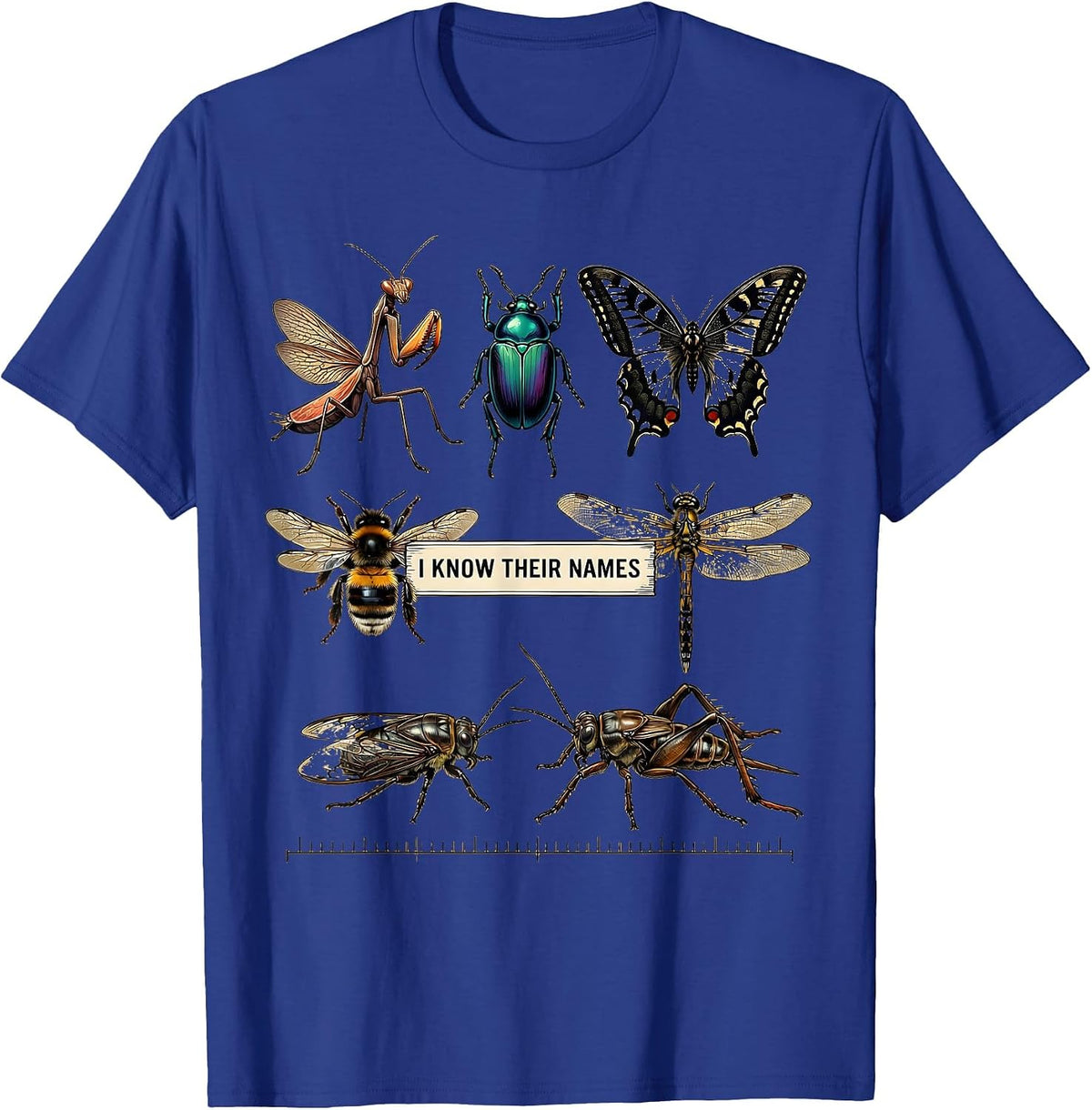Men's I Know Their Names Entomology Bug Collector Insect Lover T-Shirt - Royal Blue