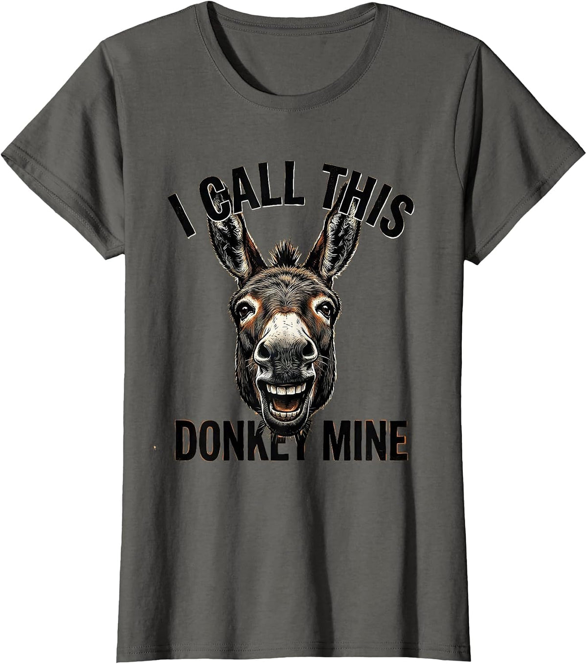 Women's I Call This Donkey Mine Funny Animal Lover Halloween Costume T-Shirt - Asphalt Grey