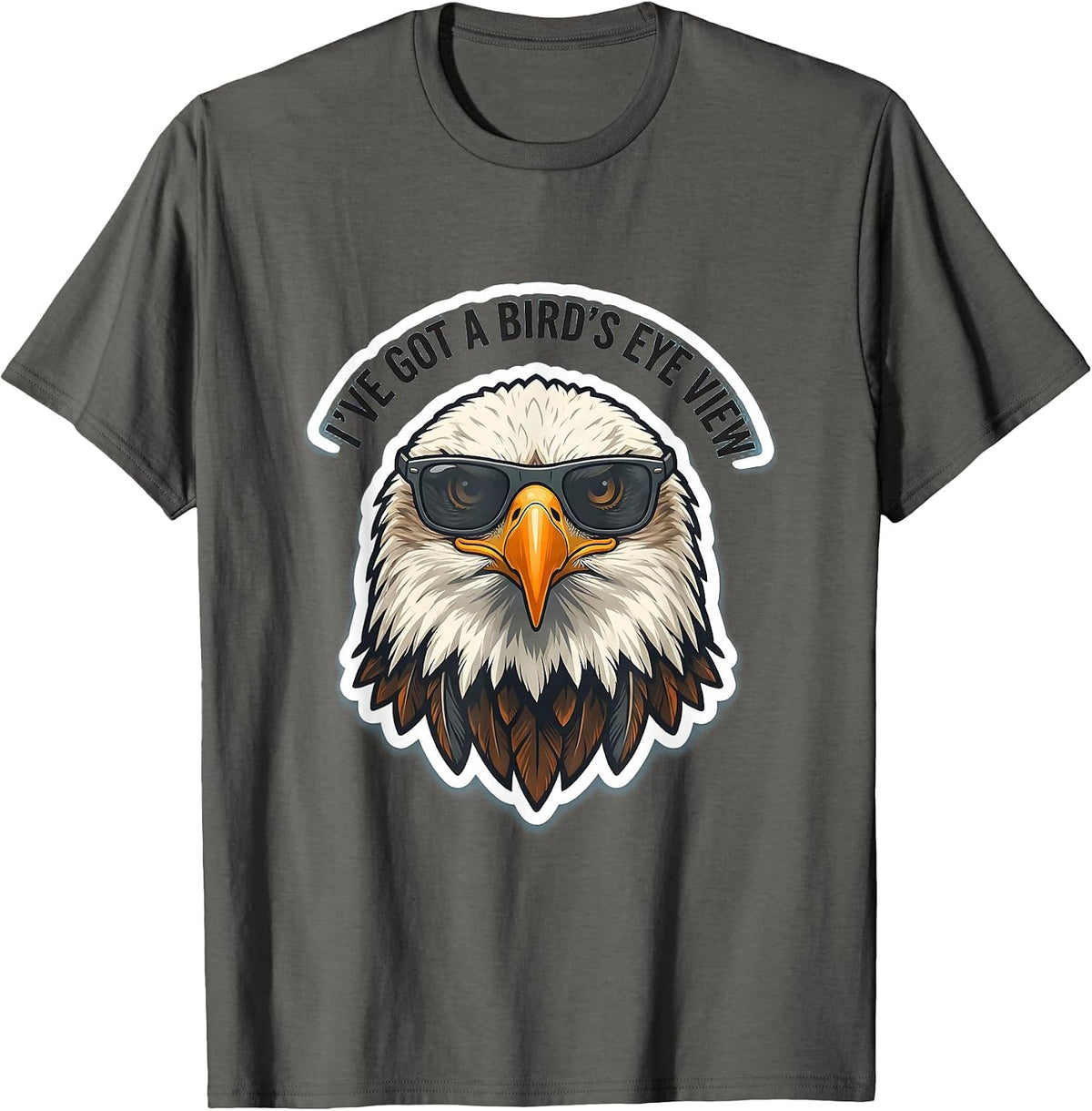 Men's I've Got A Bird's Eye View Funny Bald Eagle Sunglasses T-Shirt - Asphalt Grey