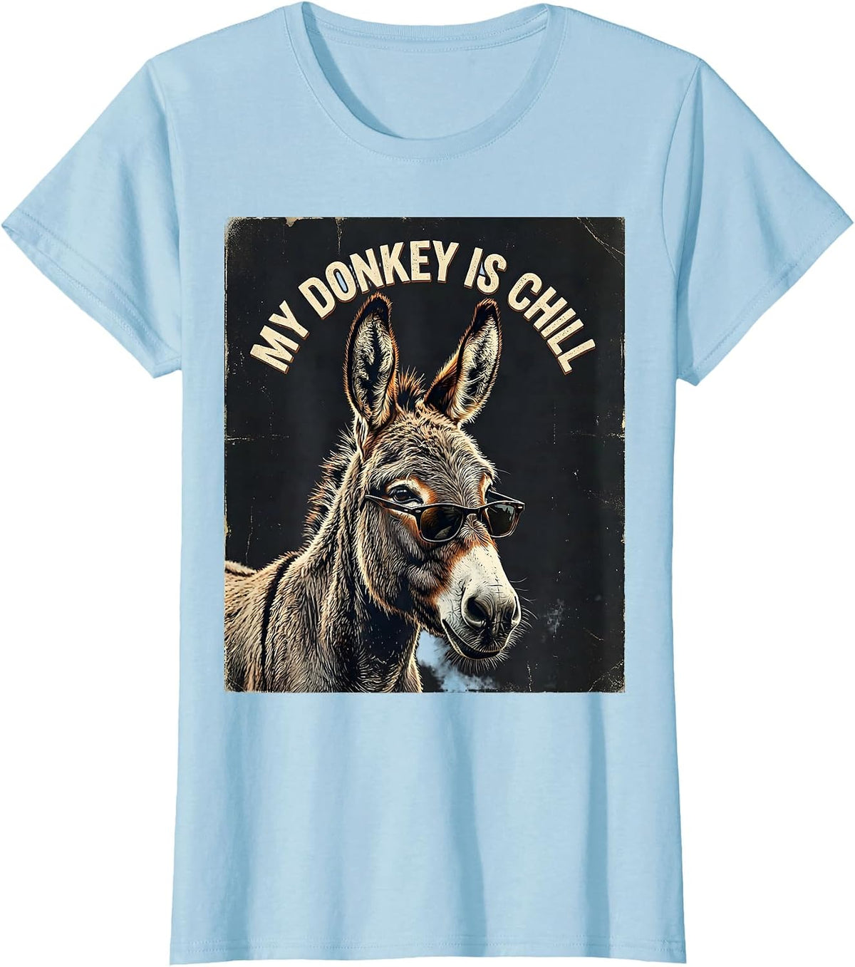 Women's My Donkey Is Chill Vintage Funny Animal Lover Humor T-Shirt - Baby Blue