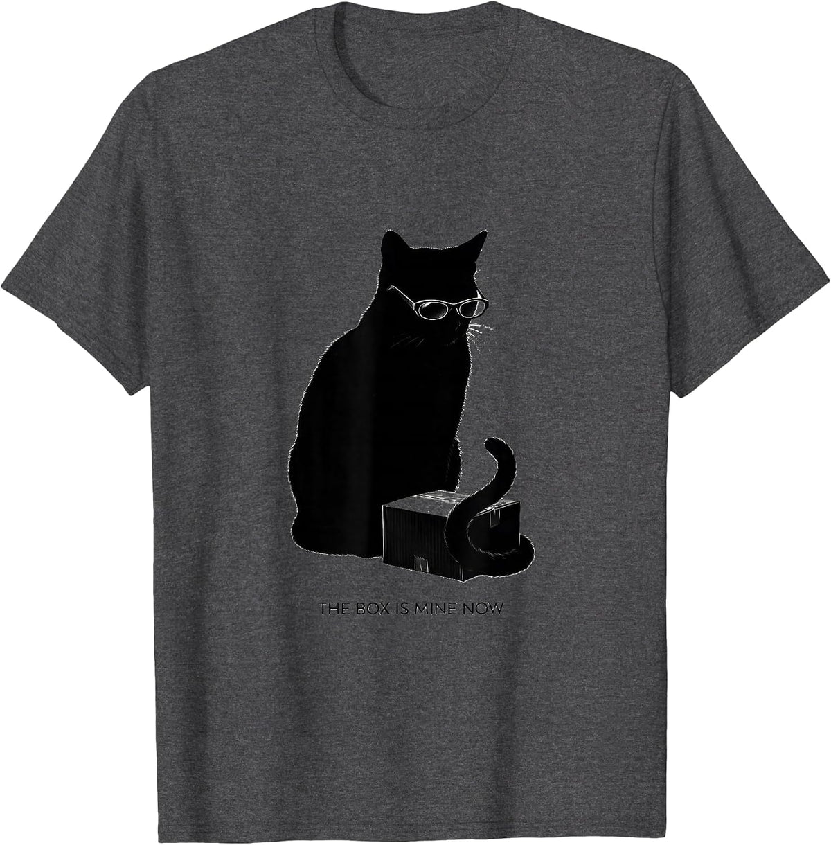 The Box Is Mine Now Funny Schrodingers Cat Quantum Physics T-Shirt - Dark Heather Grey