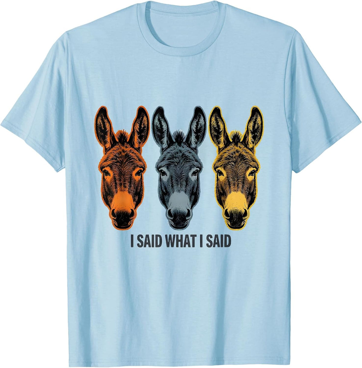 Men's I Said What I Said Funny Donkey Farm Animal Humor T-Shirt - Baby Blue