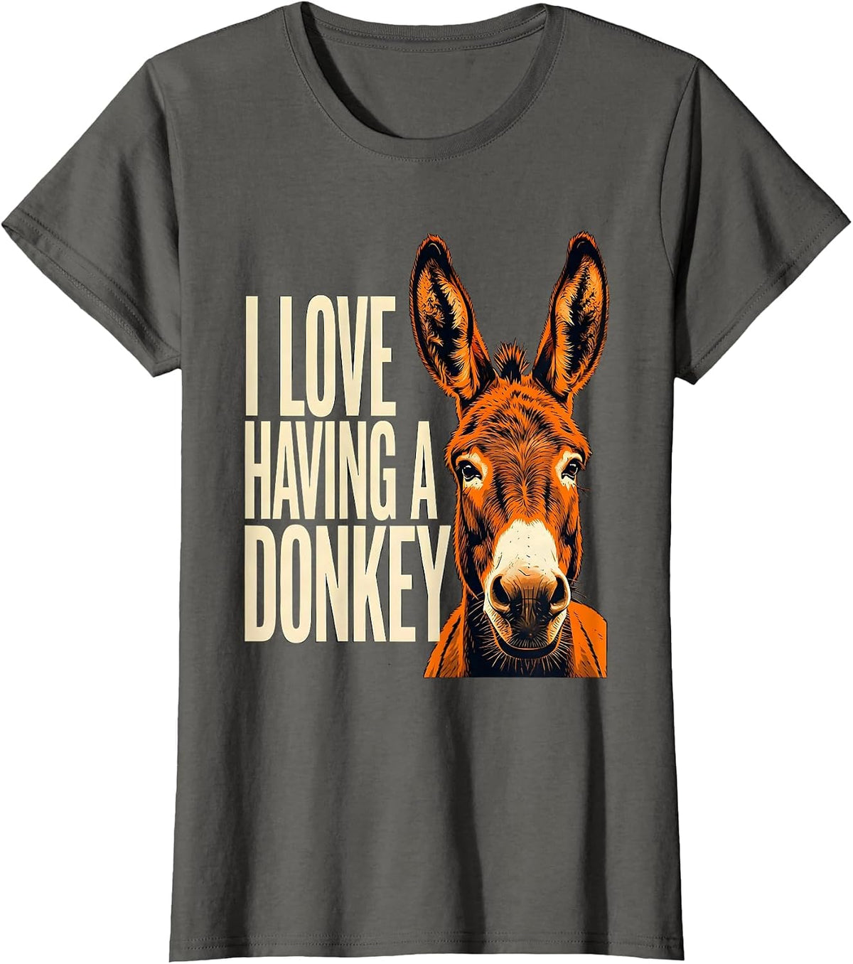 Women's I Love Having A Donkey Funny Donkey Lover Animal Humor T-Shirt - Asphalt Grey