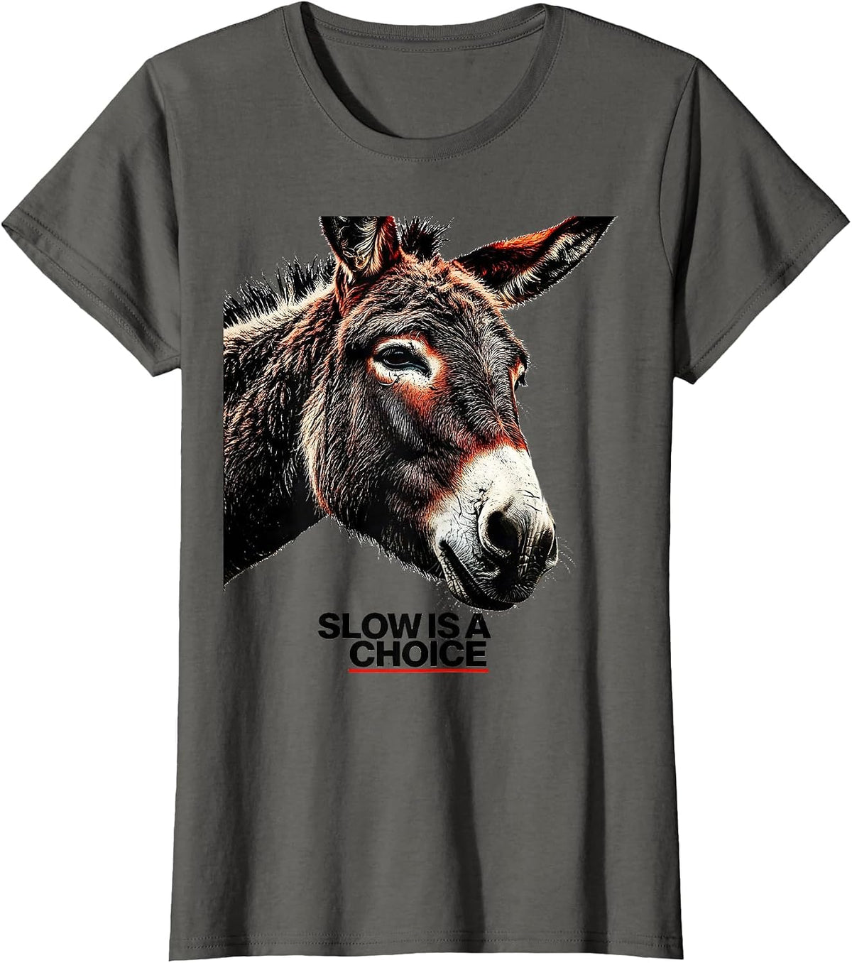Women's Slow Is A Choice Funny Donkey Farm Animal Quirky Humor T-Shirt - Asphalt Grey