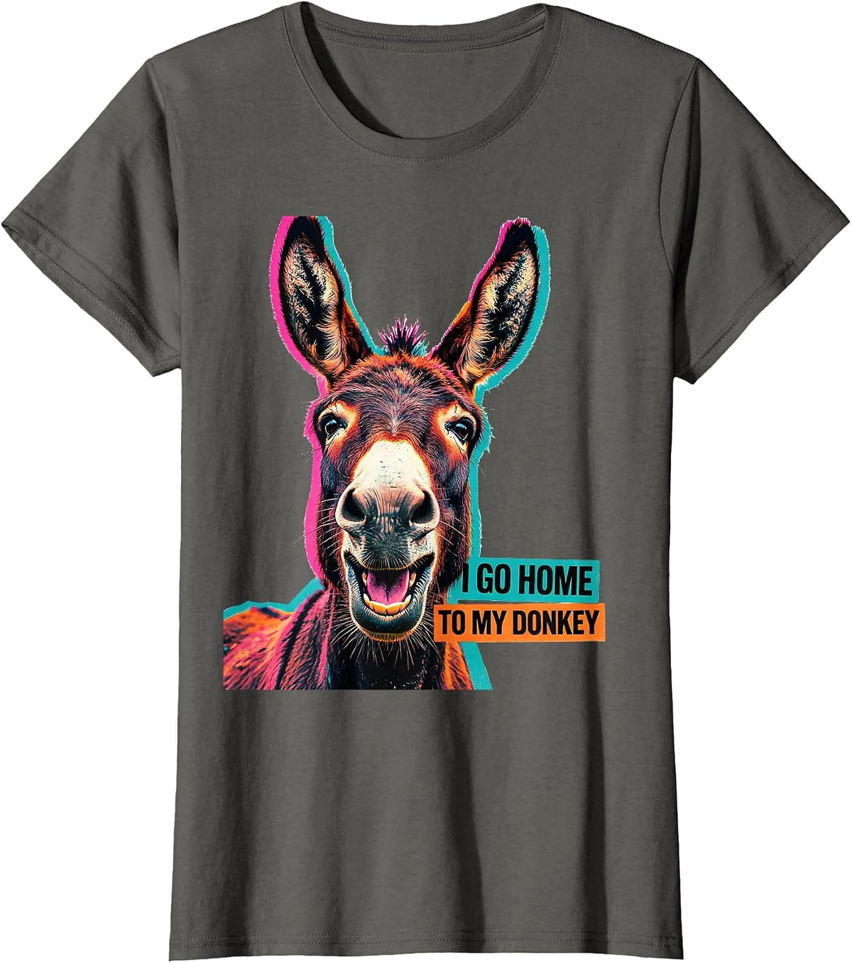 Women's I Go Home To My Donkey Funny Donkey Lover Animal Humor T-Shirt - Asphalt Grey