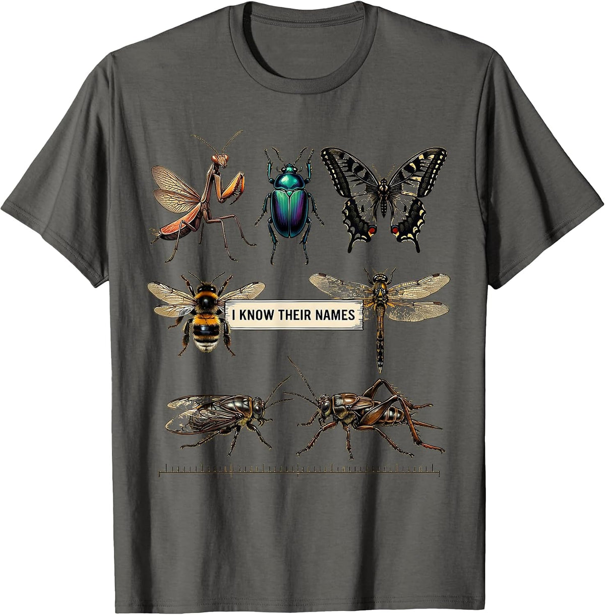 Men's I Know Their Names Entomology Bug Collector Insect Lover T-Shirt - Asphalt Grey