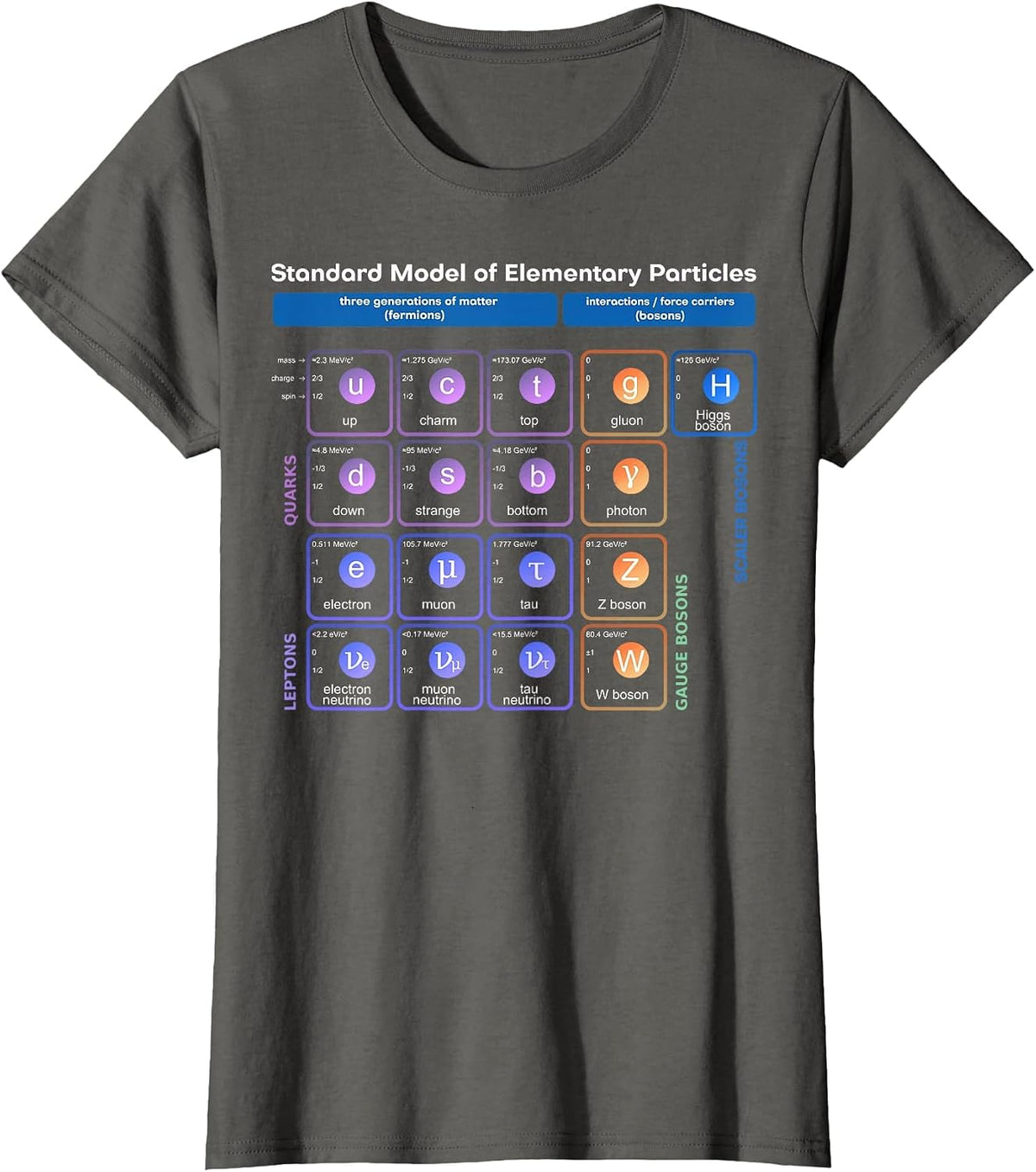 Elementary Particles Standard Model Physicist Women Men Word Game T-Shirt - Asphalt Grey
