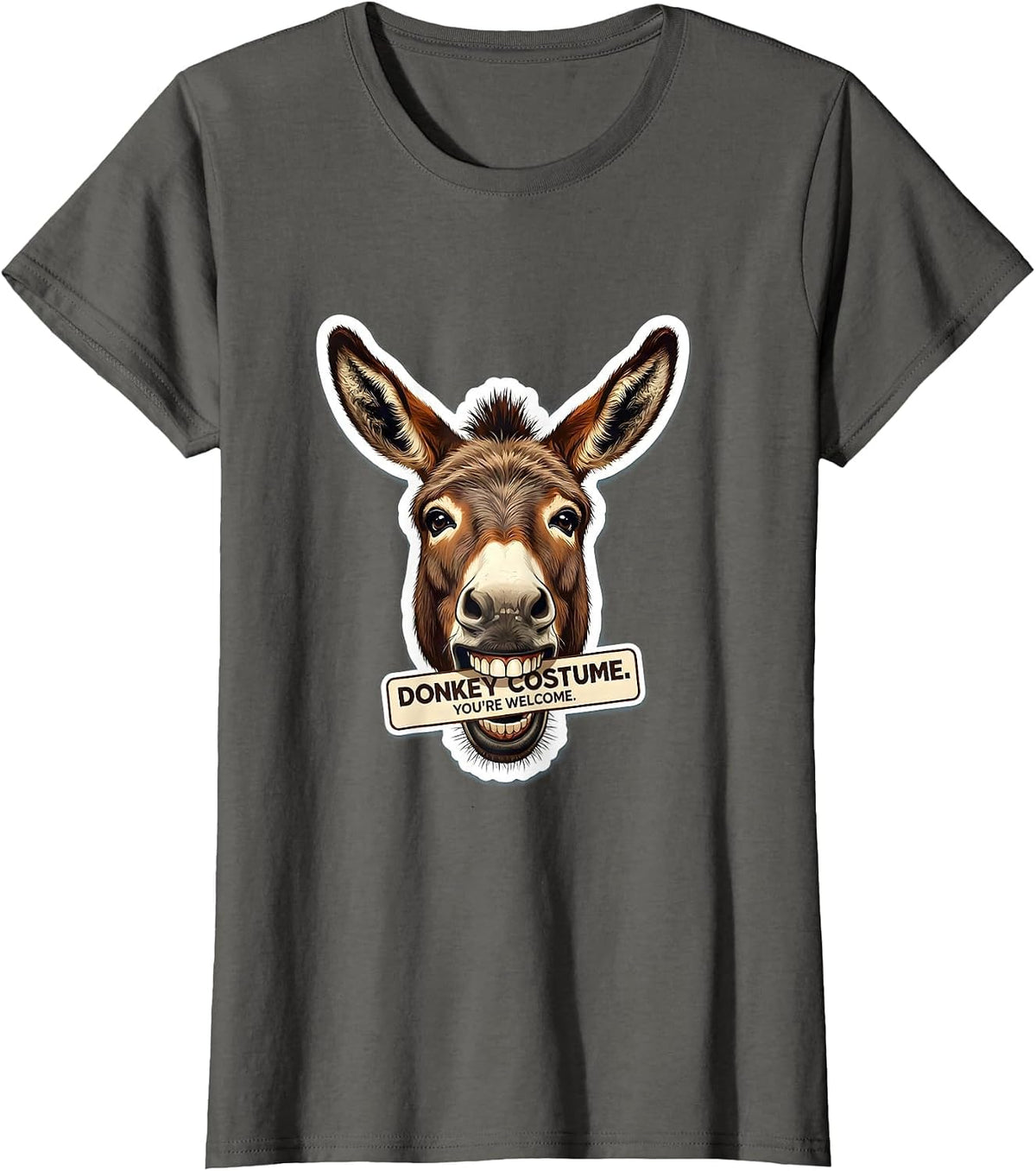 Women's Donkey Costume You're Welcome Funny Animal Lover Humor T-Shirt - Asphalt Grey