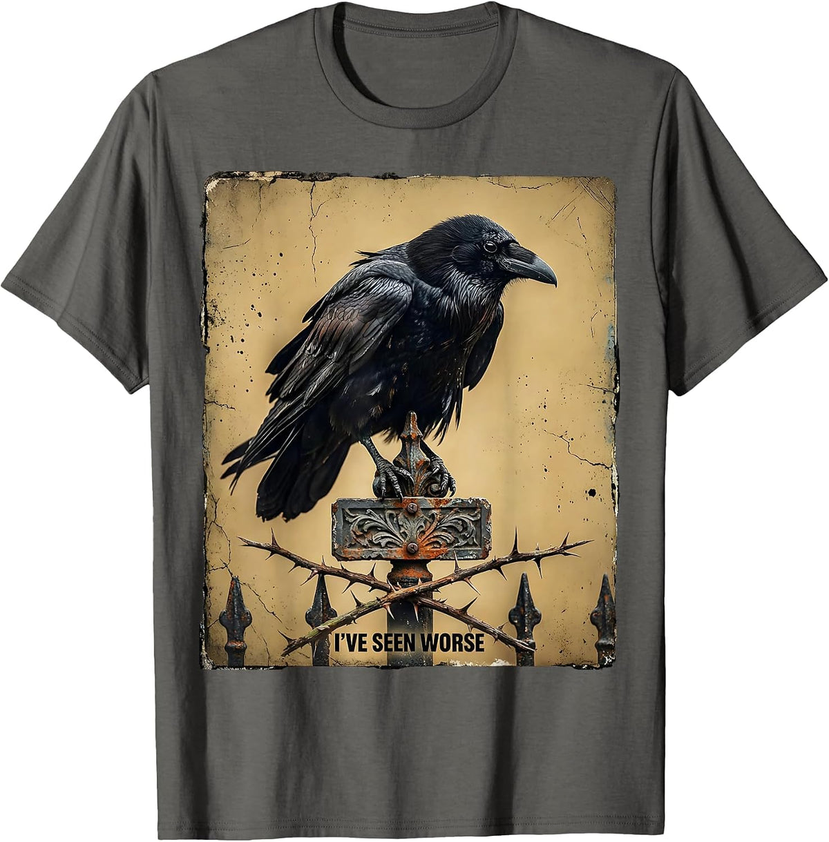Men's I've Seen Worse Distressed Gothic Crow Raven Dark Humor T-Shirt - Asphalt Grey