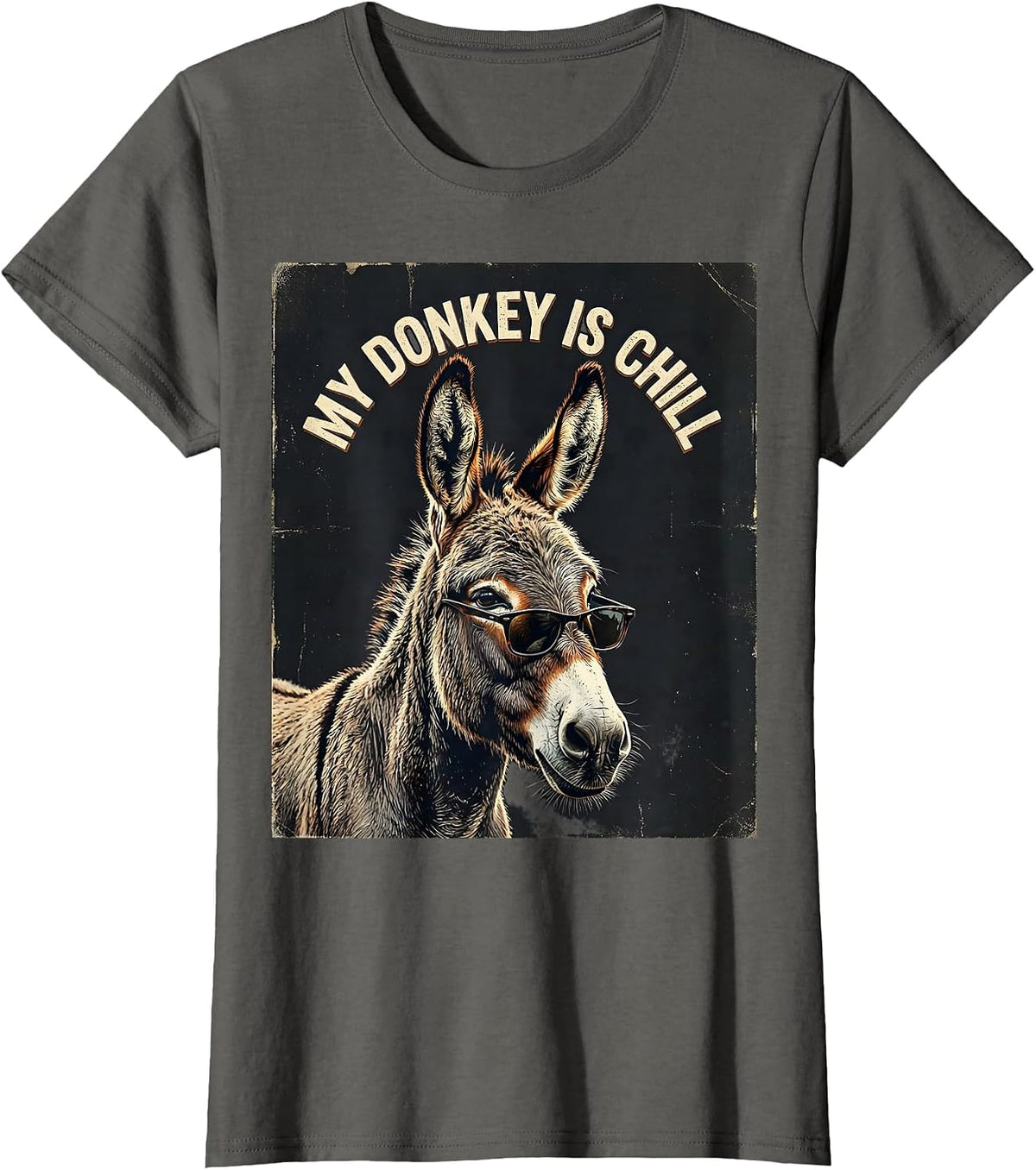Women's My Donkey Is Chill Vintage Funny Animal Lover Humor T-Shirt - Asphalt Grey