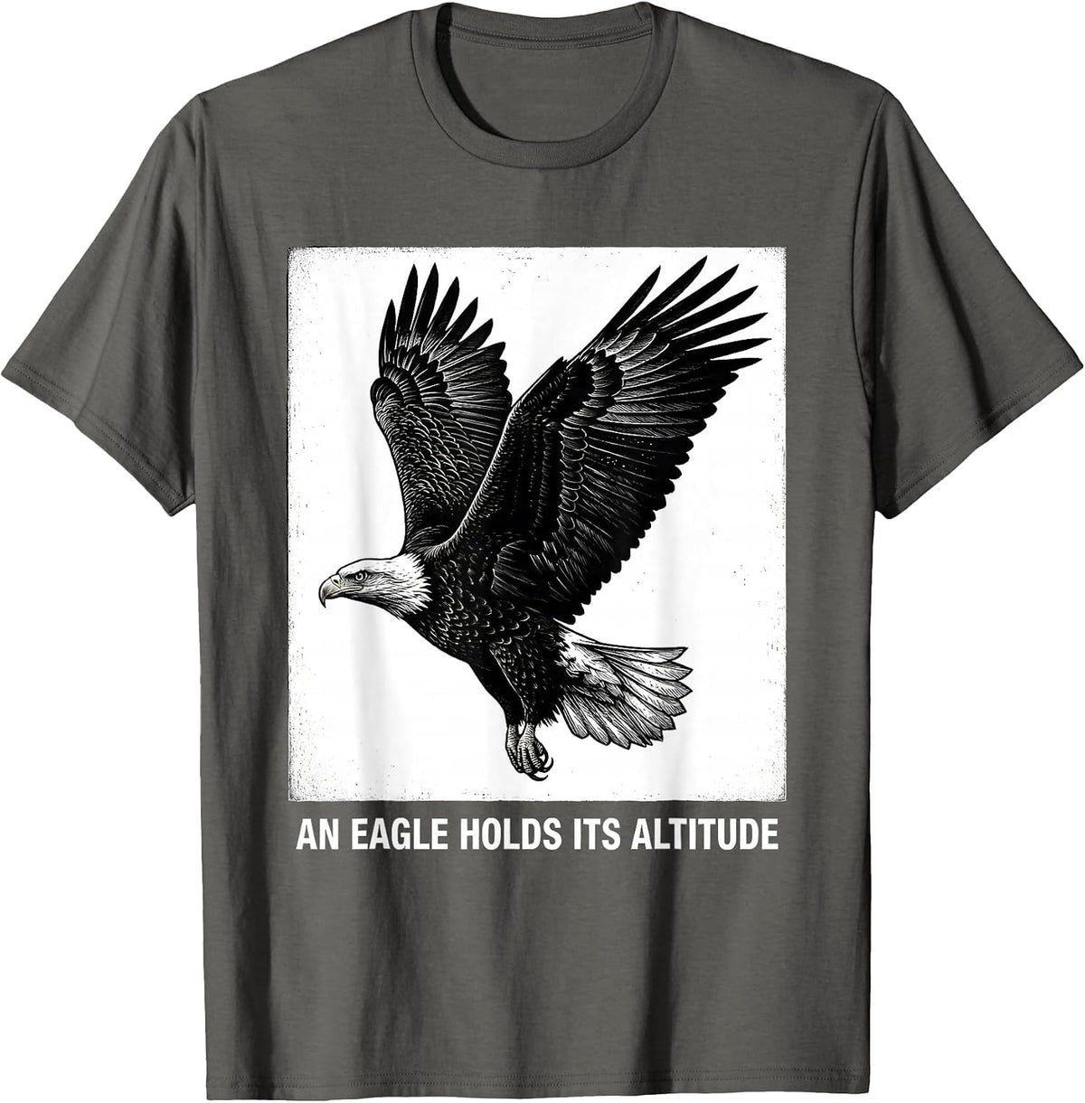 Men's An Eagle Holds Its Altitude Patriotic Bald Eagle Wildlife T-Shirt - Asphalt Grey