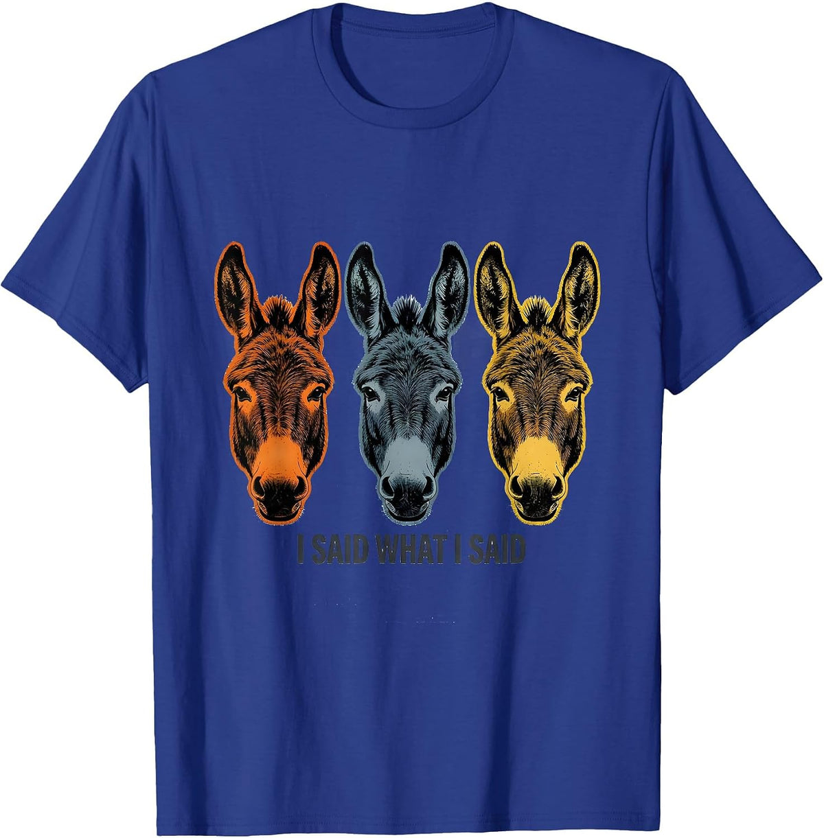 Men's I Said What I Said Funny Donkey Farm Animal Humor T-Shirt - Royal Blue