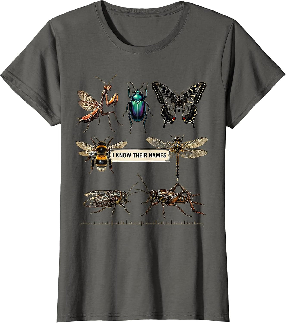Women's I Know Their Names Entomology Bug Collector Insect Lover T-Shirt - Asphalt Grey