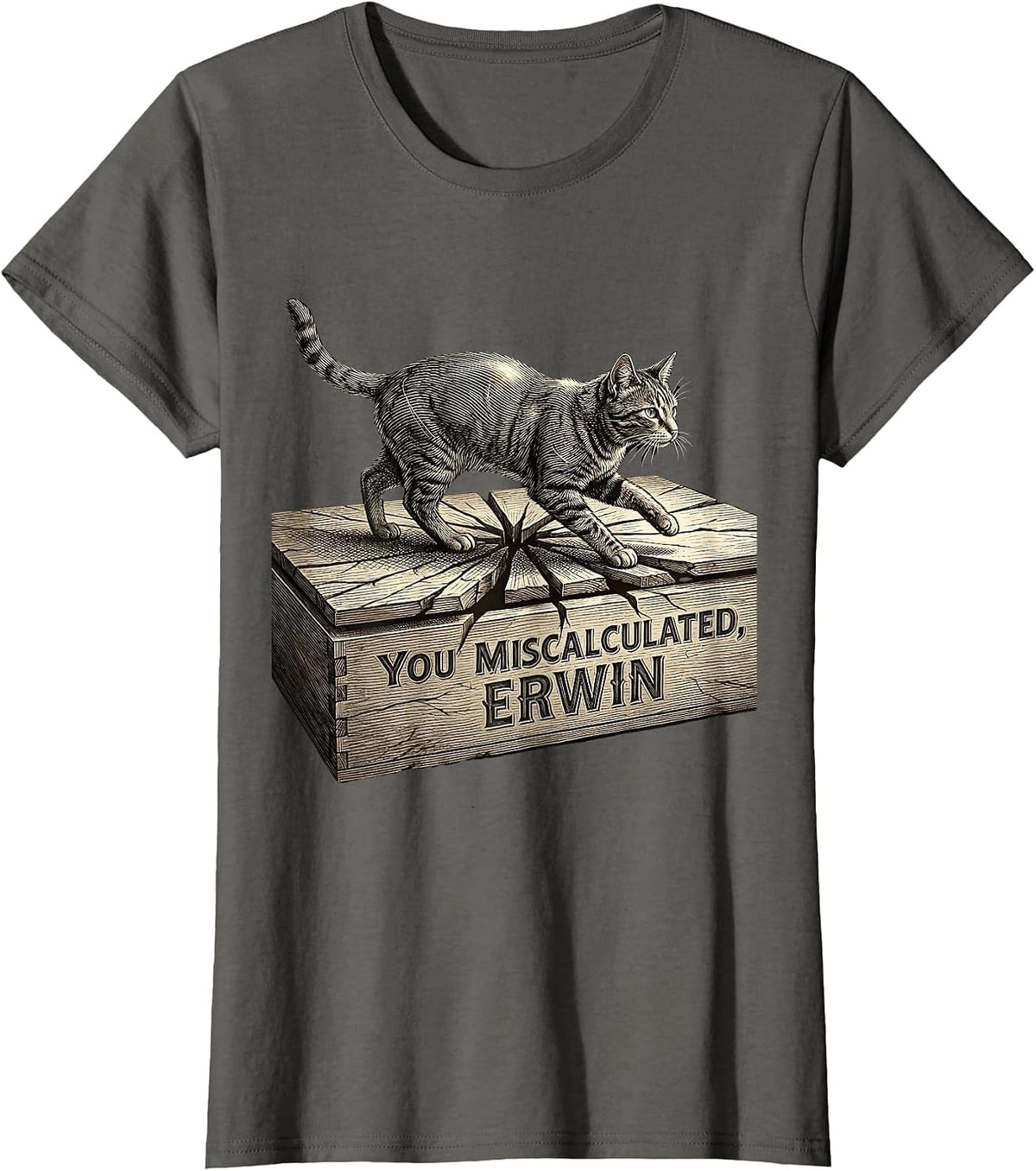 Women's You Miscalculated, Erwin Funny Quantum Physics Cat Lover T-Shirt - Asphalt Grey