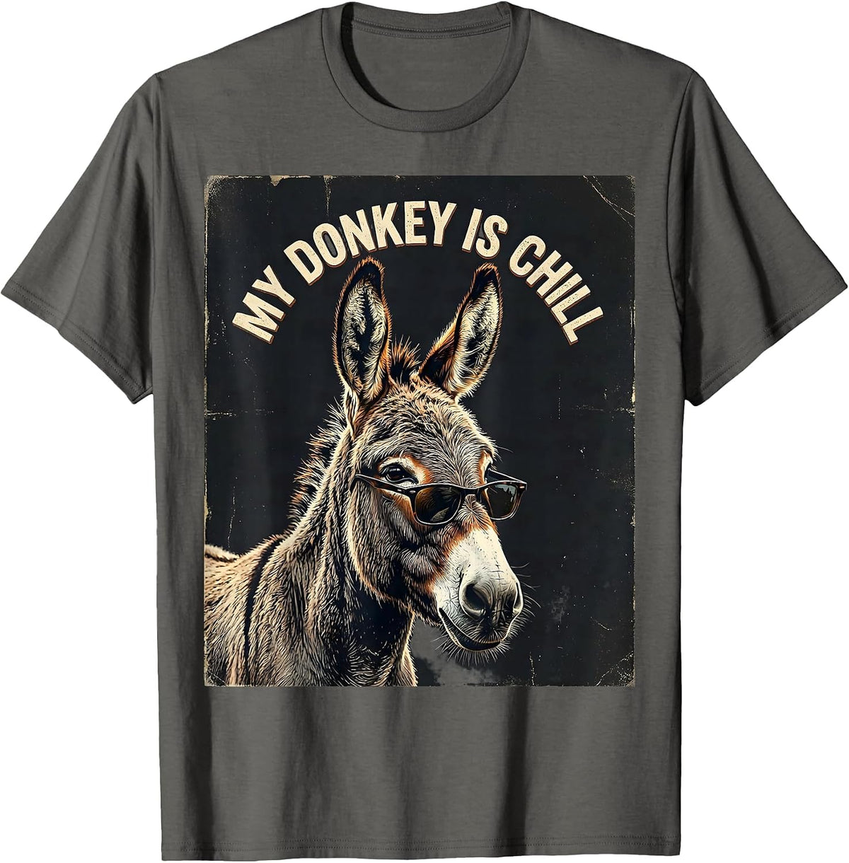 Men's My Donkey Is Chill Vintage Funny Animal Lover Humor T-Shirt - Asphalt Grey