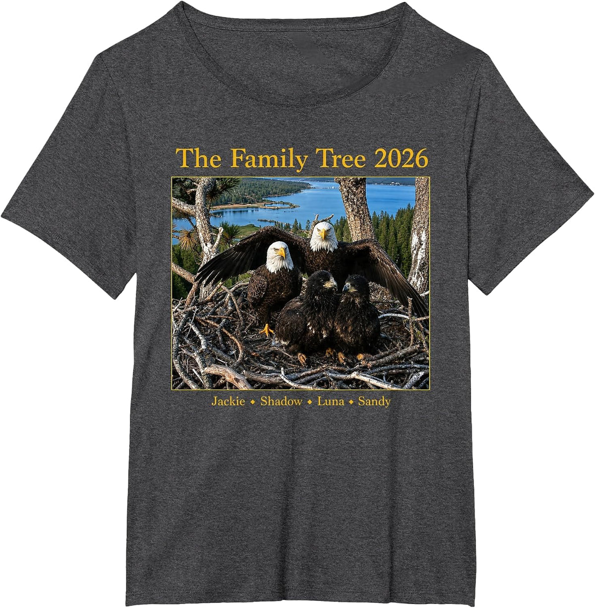 The Family Tree 2026 Jackie Shadow Luna Sandy T-Shirt - Dark Heather Grey
