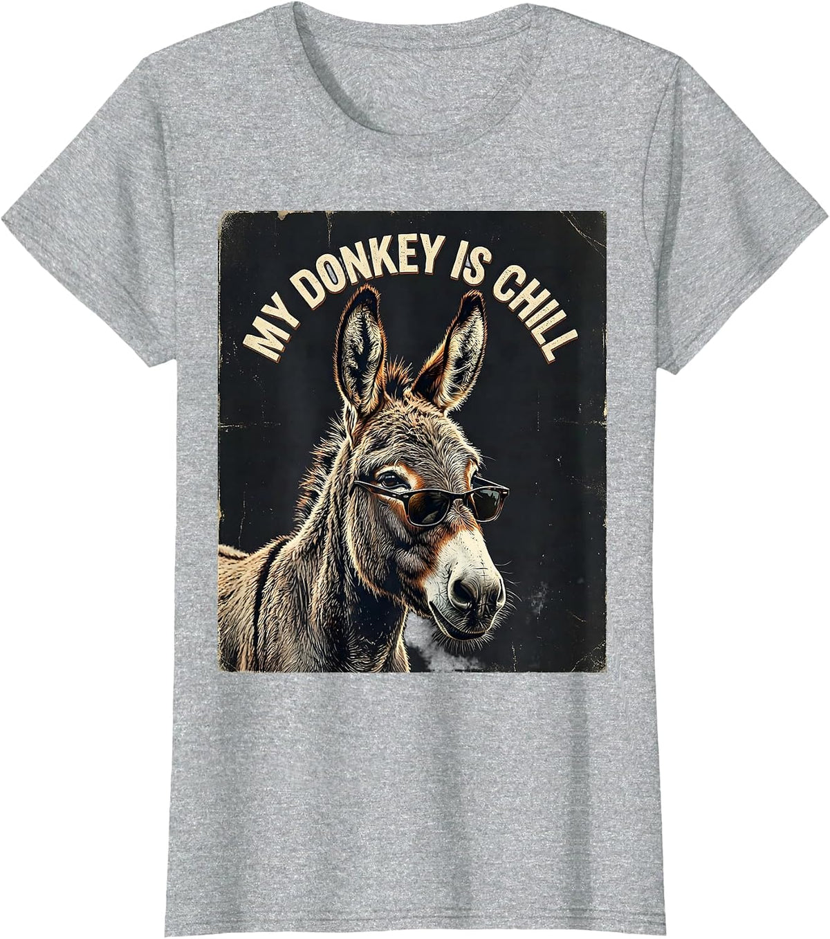 Women's My Donkey Is Chill Vintage Funny Animal Lover Humor T-Shirt - Heather Grey