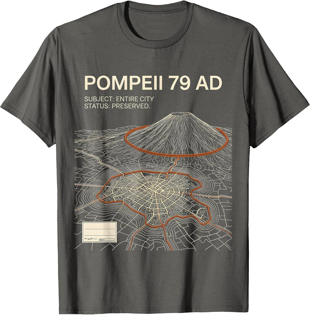 Subject Entire City Preserved Funny History Lover Humor T-Shirt - Asphalt Grey