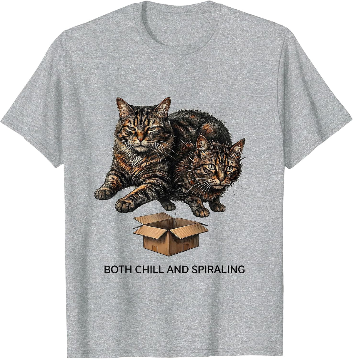 Men's Both Chill And Spiraling Funny Quantum Physics Science T-Shirt - Heather Grey