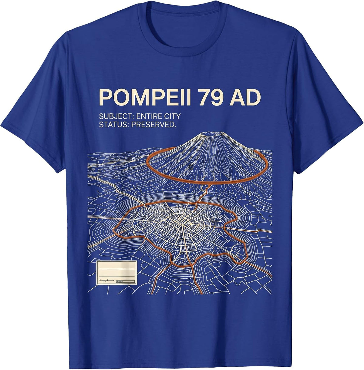 Subject Entire City Preserved Funny History Lover Humor T-Shirt - Royal Blue