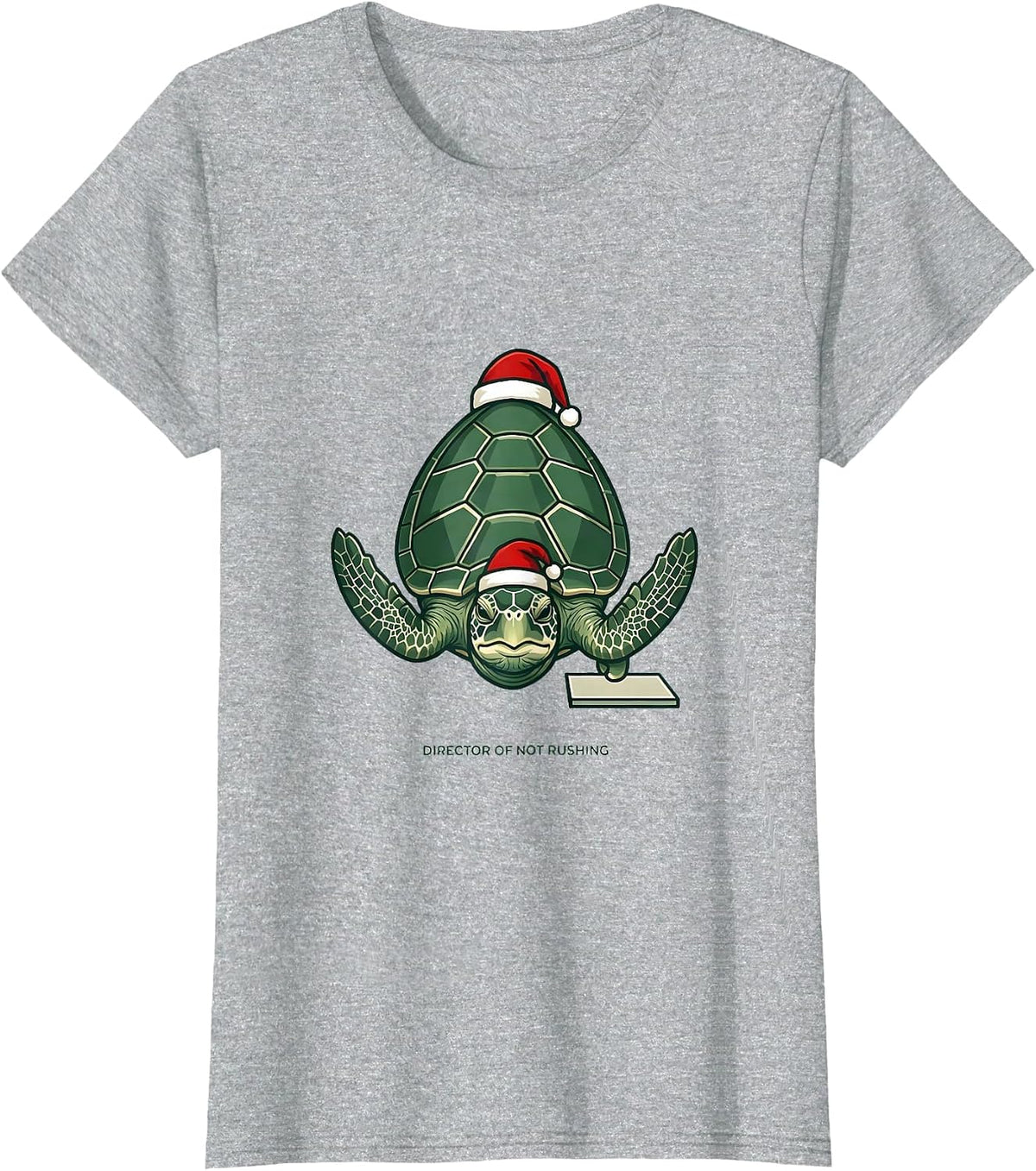 Director of Not Rushing Minimalist Sea Turtle Santa Hat T-Shirt - Heather Grey
