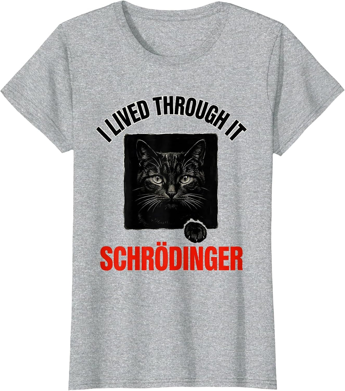 I Lived Through It Schrödinger Funny Quantum Physics Science T-Shirt - Heather Grey