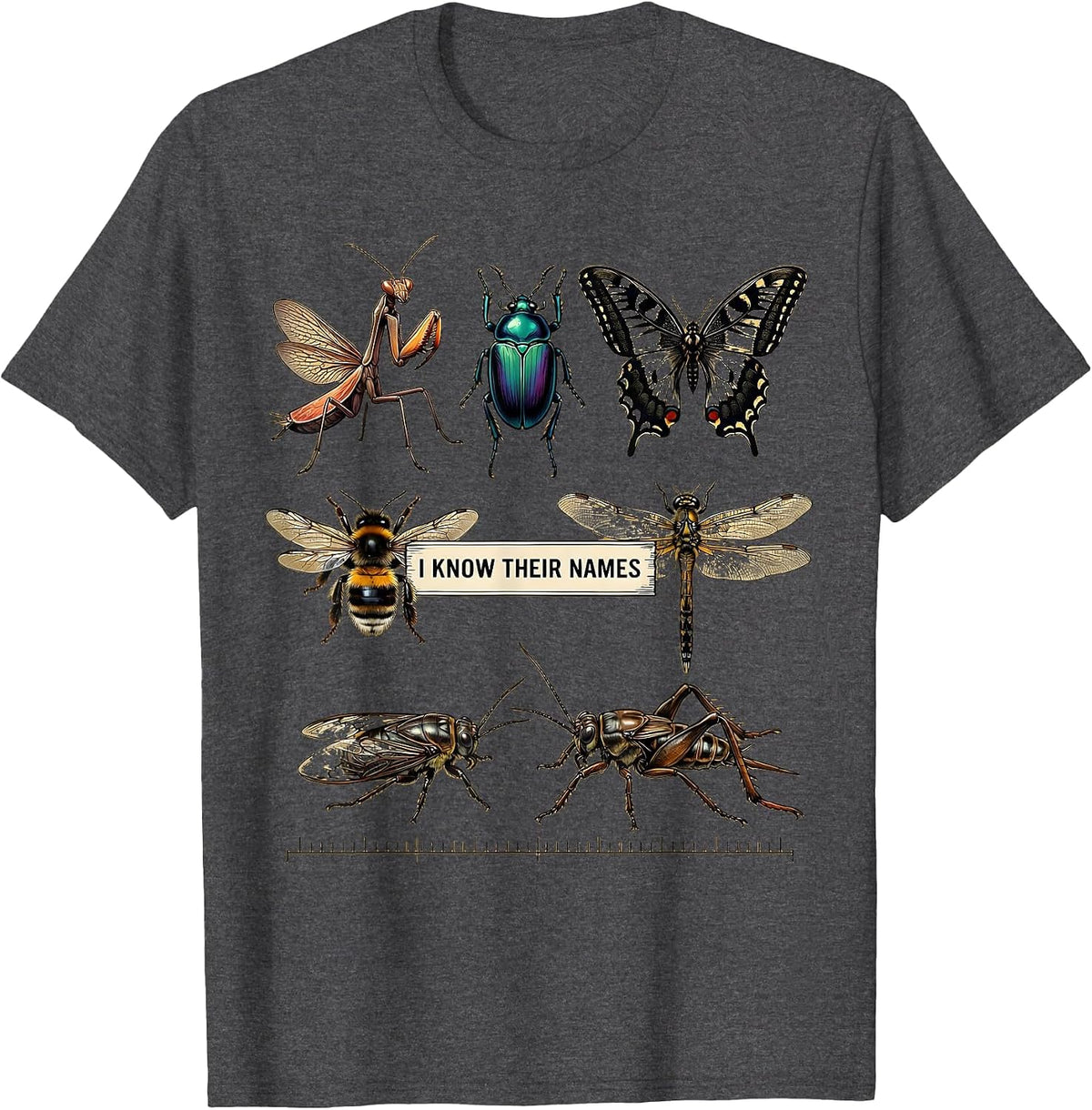 Men's I Know Their Names Entomology Bug Collector Insect Lover T-Shirt - Dark Heather Grey