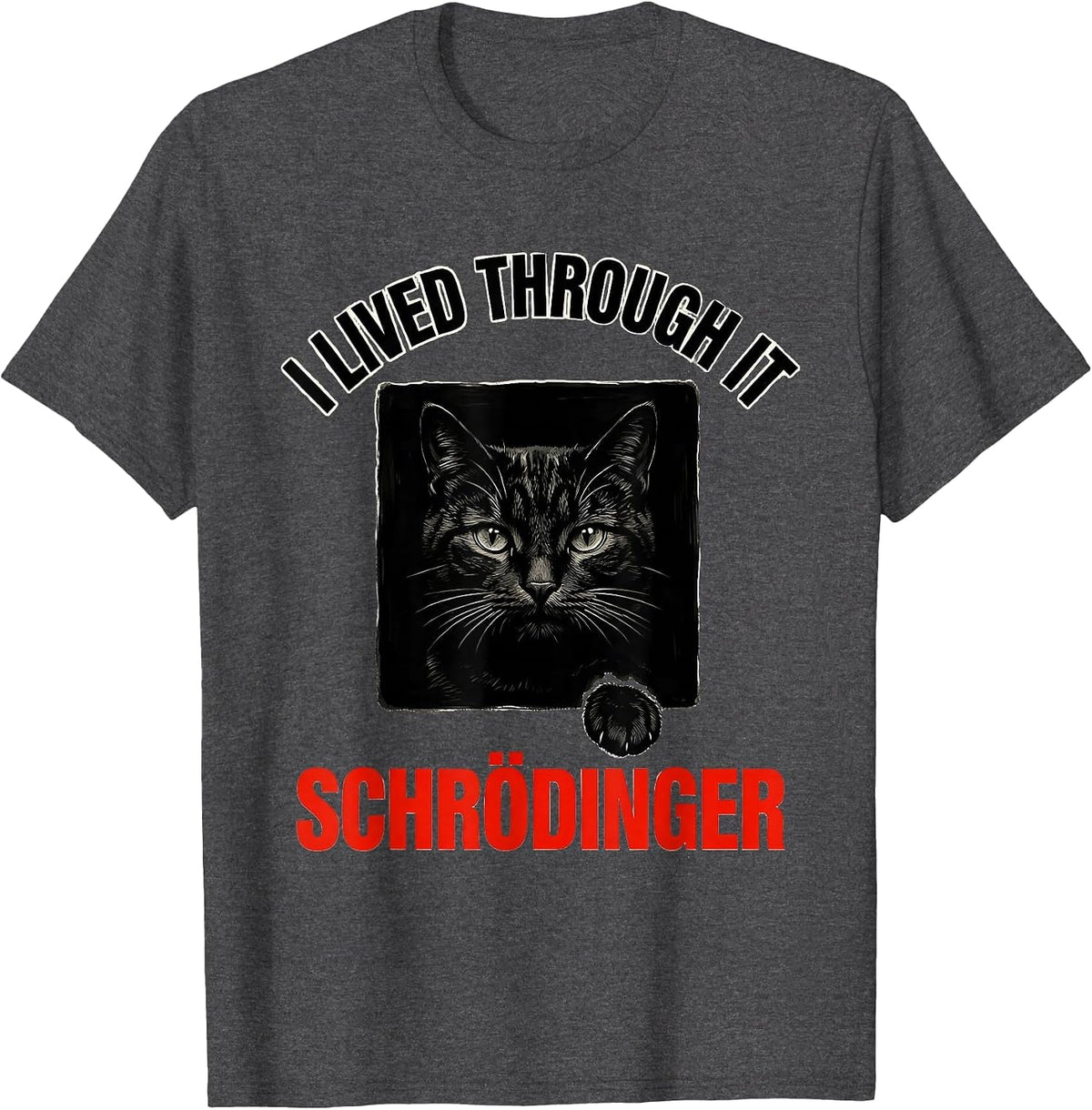 I Lived Through It Schrödinger Funny Quantum Physics Science T-Shirt - Dark Heather Grey