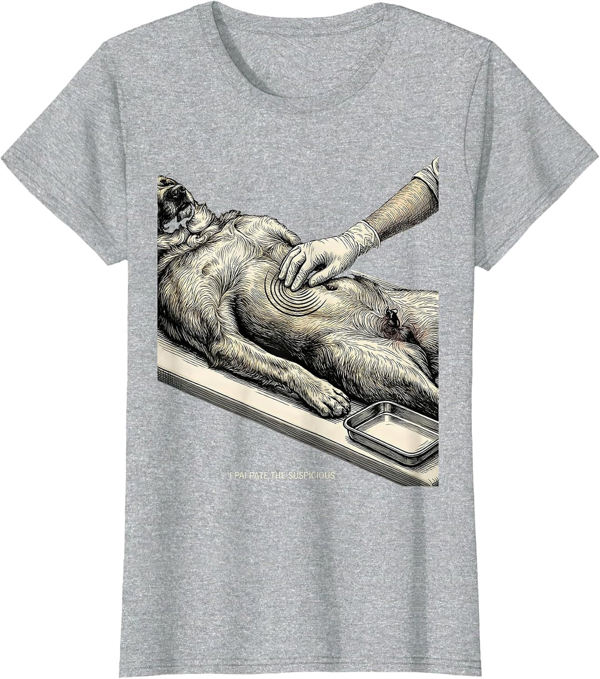 Women's I Palpate The Suspicious Funny Veterinarian Vet Tech T-Shirt - Heather Grey