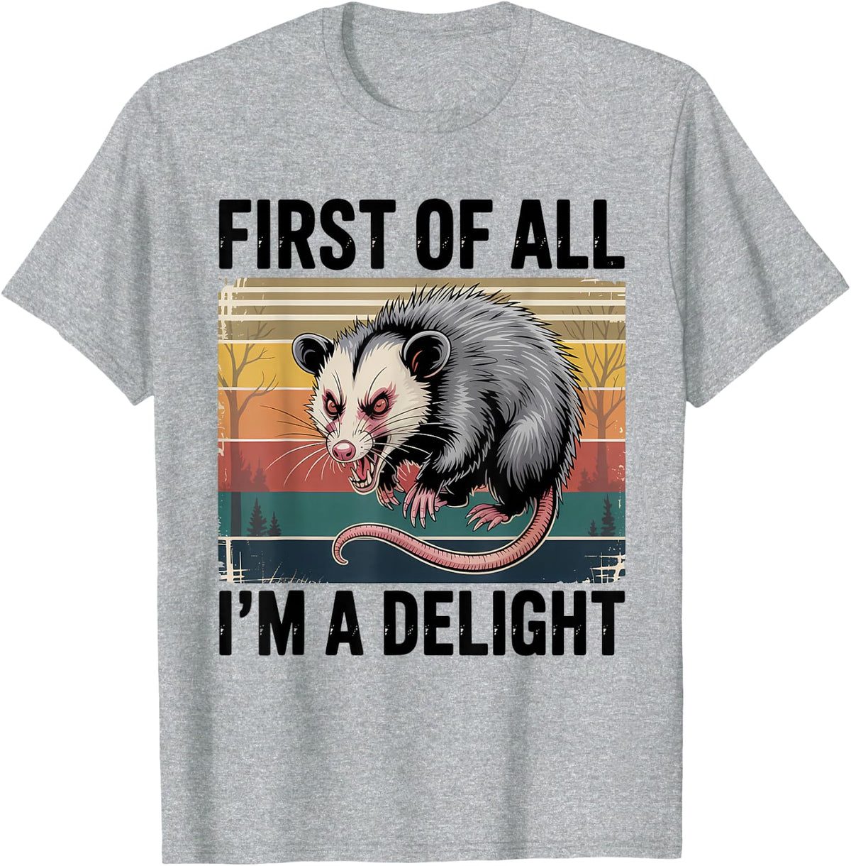 First Of All I'm A Delight Funny Angry Opossum Possum Possum T-Shirt - Heather Grey